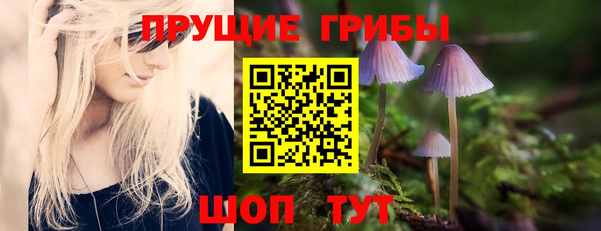 Галлюциногенные грибы Psilocybine cubensis Пугачёв