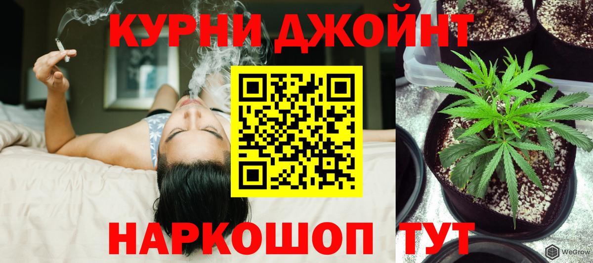 Канабис семена Пугачёв